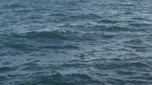 Waves Crashing Beach Wall — Stock Video