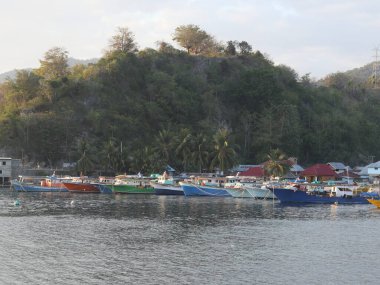 Balıkçı teknesi sahile yaslanıyor.