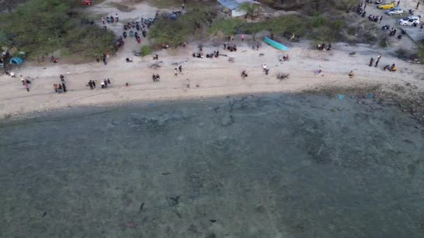 Вид Сверху Людей Купающихся Солнце Плавающих Играющих Игры Пляже Вид — стоковое видео