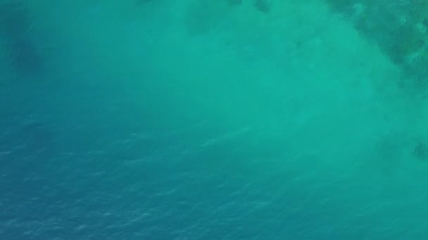 Widok Lotu Ptaka Ludzie Kąpiący Się Słońcu Pływanie Gry Plaży — Wideo stockowe