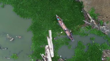 Nehrin etrafını saran su sümbül bitkilerinden kaçmaya çalışan bir teknenin hava görüntüsü.
