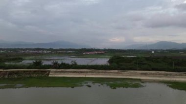 Bahçedeki yağmur suyuna batmış sebzelerin havadan görünüşü