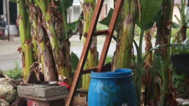 Mavi Plastik Davullar Yağmur Suyu Topluyor