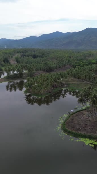Aerial View Perintis Lake Surrounded Trees — Stok video