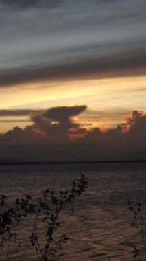 Vertical video of a Beautiful view of the sunset on a summer day. lake sunset