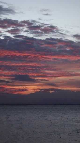Vertical Video Beautiful View Sunset Summer Day Lake Sunset — Vídeos de Stock