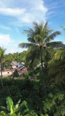 Vertical aerial footage of Small Town in the Morning. Aerial View of Tualango Village in Gorontalo, Indonesia