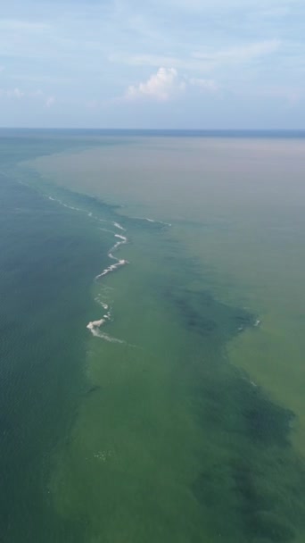 Вертикальне Повітряне Відео Забруднення Морської Води Прісної Води Водах Горонтало — стокове відео
