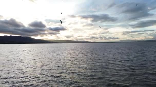 湖上を飛行する飛行機の視界 ダスクの冷たい水と湖の表面上に低空飛行 — ストック動画