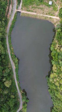 Ormanın ve gölün ortasındaki yolun havadan görünüşü