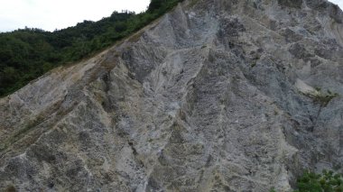 Bulutlu bir günde ağaçlı kayalık bir uçurum. Doğal arkaplan.