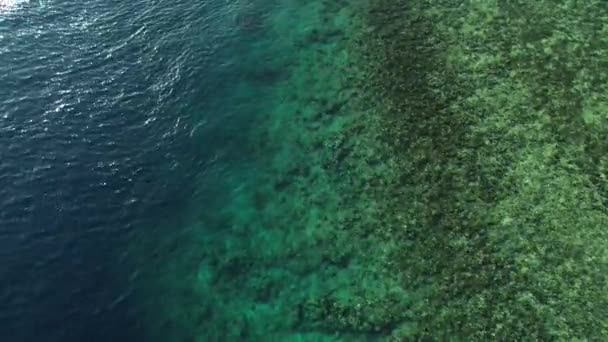 ターコイズウォーターとサンゴ礁の空中ビュー — ストック動画