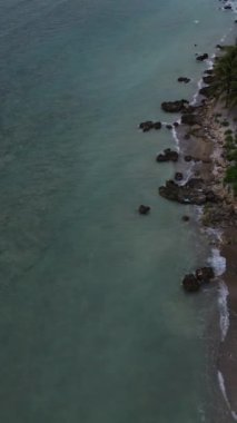 Tropik adanın dikey insansız hava aracı görüntüsü Palm Trees ve Coral Beach