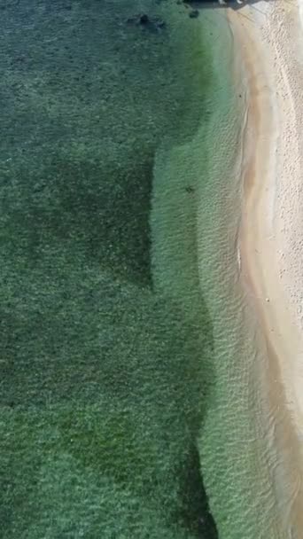 Luftaufnahme Des Schönen Tropischen Strandes Mit Türkisfarbenem Wasser Und Sand — Stockvideo