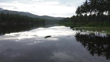 Aerial view of Perintis Lake surrounded by trees