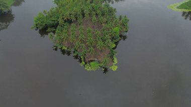 Aerial view of Perintis Lake surrounded by trees clipart