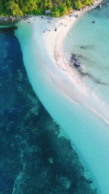 Turkuaz Su ve Beyaz Kum ile Güzel Tropikal Plajın Dikey Drone Görüntüsü