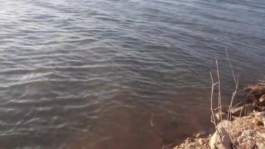 Gölün Sakin Su Yüzeyi