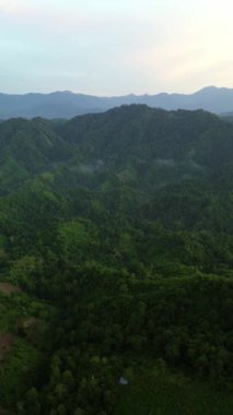 Sabahın erken saatlerinde Endonezya 'da dağların ve ormanların havadan görünüşü.