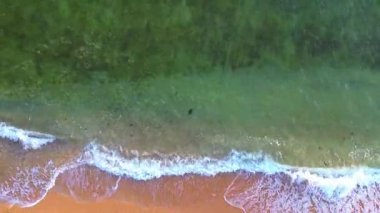 Turkuaz suyu ve dalgaları olan bir sahilin havadan görüntüsü.