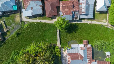 Köydeki su sümbülü ile dolu bir nehrin üzerindeki köprünün havadan görünüşü.