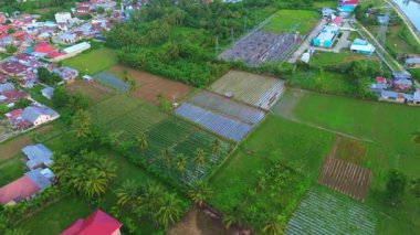Bereketli tarım arazileri ve ekinlerin hava görüntüsü