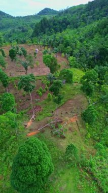 Yemyeşil tepelerin ve dağların havadan görünüşü