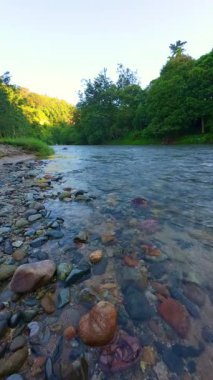 Lush Green tarafından çevrelenmiş Nehrin Yavaş Hareketli Manzarası 