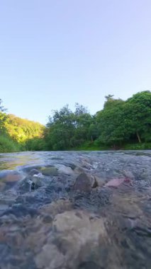 Lush Green tarafından çevrelenmiş Nehrin Yavaş Hareketli Manzarası 