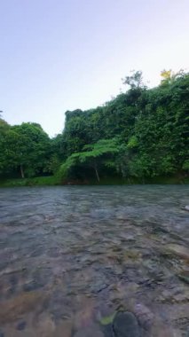 Lush Green tarafından çevrelenmiş Nehrin Yavaş Hareketli Manzarası 