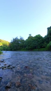 Lush Green tarafından çevrelenmiş Nehrin Yavaş Hareketli Manzarası 
