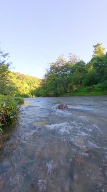 Lush Green tarafından çevrelenmiş Nehrin Yavaş Hareketli Manzarası 