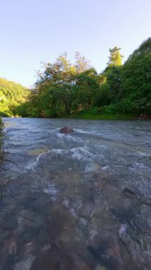 Lush Green tarafından çevrelenmiş Nehrin Yavaş Hareketli Manzarası 