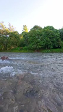 Lush Green tarafından çevrelenmiş Nehrin Yavaş Hareketli Manzarası 