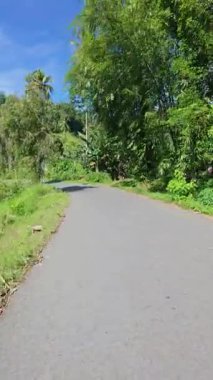 Yeşilliklerle çevrili Manzara Yolu