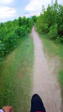 Etrafı Ağaçlarla çevrili İlk Kişi Görünümü