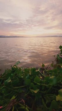 Yavaş çekim Bulutlu Suyun Üzerinde Gün Batımı