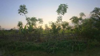 Sabah Çitle Kırsal Arazide Sabah Işığı