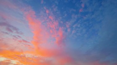 Renkli Bulutlar ve Palmiye Ağaçlarıyla Tropik Gün Batımı