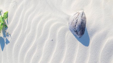 Beyaz Kum Sahili desenli eski hindistan cevizi