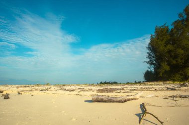 Güneşli günde bir tropikal plaj