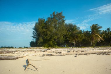 Güneşli günde bir tropikal plaj