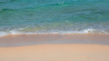 Berrak Okyanus Suları ile Tropikal Ada Plajı