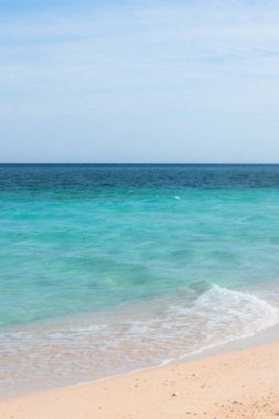 Berrak Okyanus Suları ile Tropikal Ada Plajı