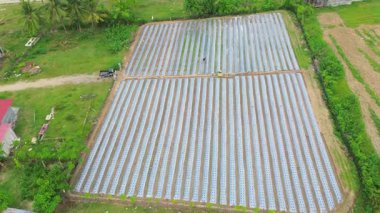 Aerial View of Agricultural Field with Plastic Mulch