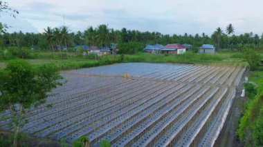 Evli Çiftlik Arazisi Havadan Görünümü