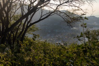 Ağaçların Arasında Şehir Görünümü