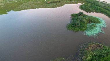 Yeşillik ile Havadan Göl Görünümü