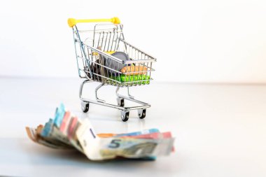 Temel mallara sahip süpermarket alışveriş arabası ve beyaz arka planda çok sayıda euro banknotları. Satın alma gücü, aile harcamaları, temel mallar, tüketici toplumu hakkındaki kavramsal imaj. Boşluğu kopyala