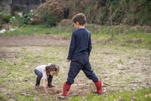 Boy and girl play together in great complicity, exploring nature, not afraid of getting dirty, just having fun. Happy childhood, friendship, sharing and learning concept.